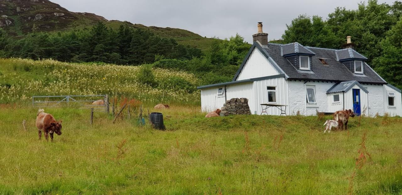Acharacle Isle Of Carna, Secluded Scottish Island, Loch Sunartヴィラ エクステリア 写真
